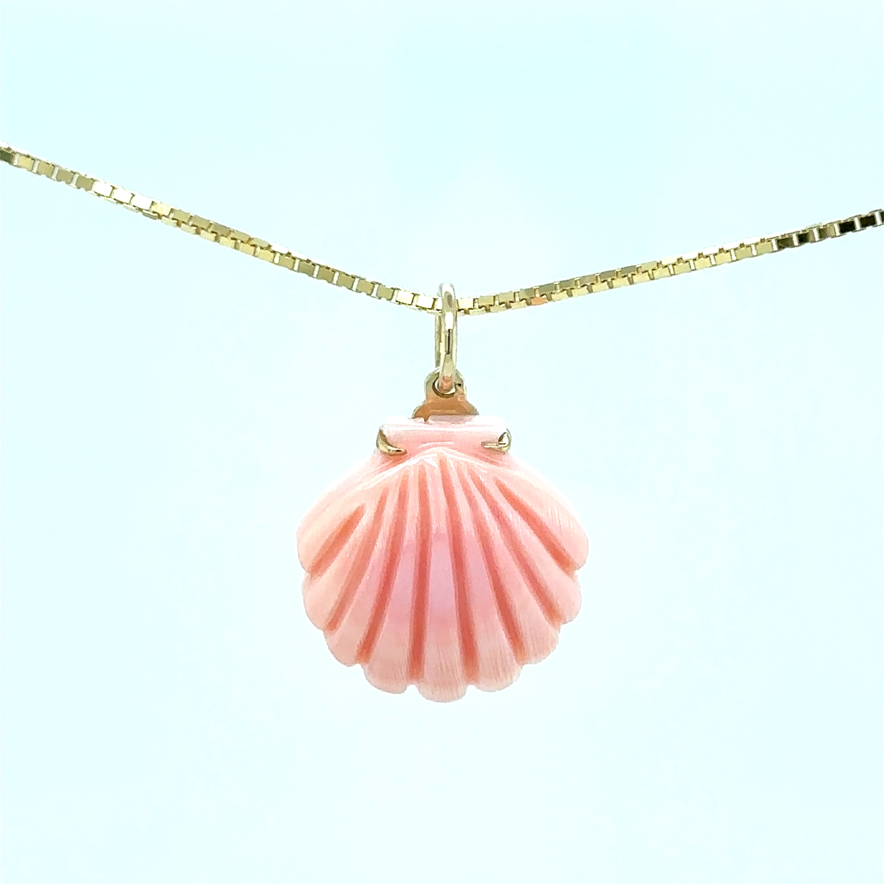 DAY6　ウォンピル⑪ Denny Wong Denny Wong Shell Pendant 001-416-01090 - Nautical