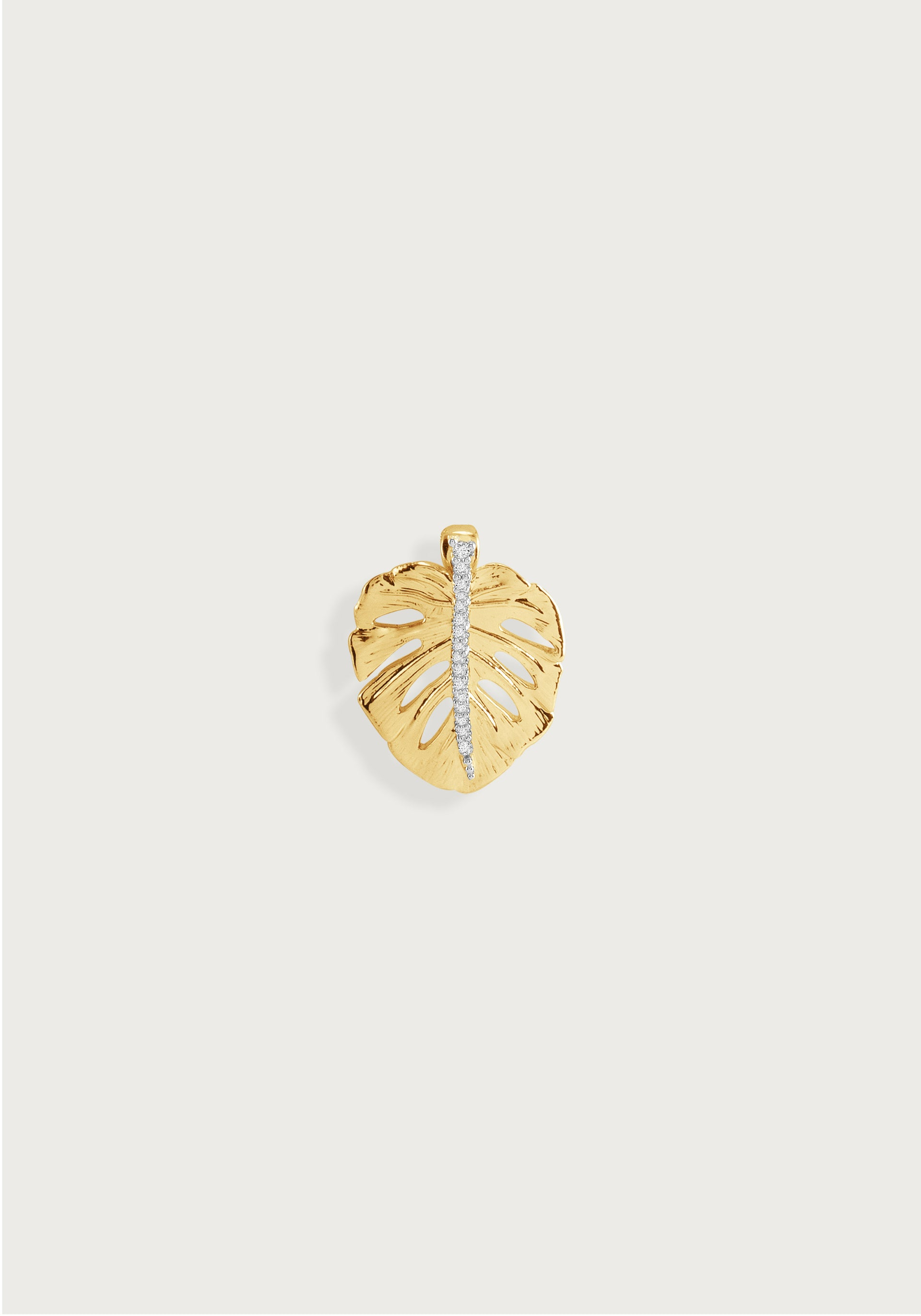 philodendron neon vs lemon lime Lemon Lime Philodendron – Plant Detectives main image 1