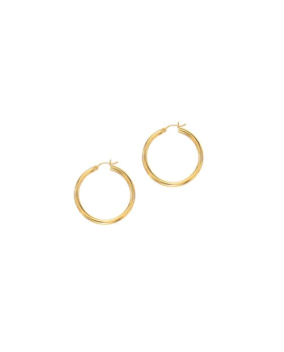 DeScenza Collection Hoop Earrings 001-425-2000613 | DeScenza