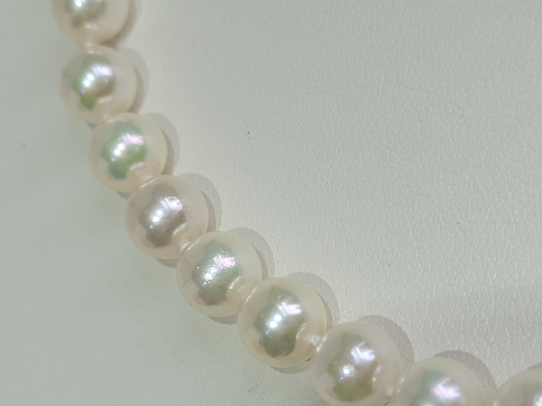 Dolabany Jewelers Pearl Bracelet 001-330-00007 PL Westwood