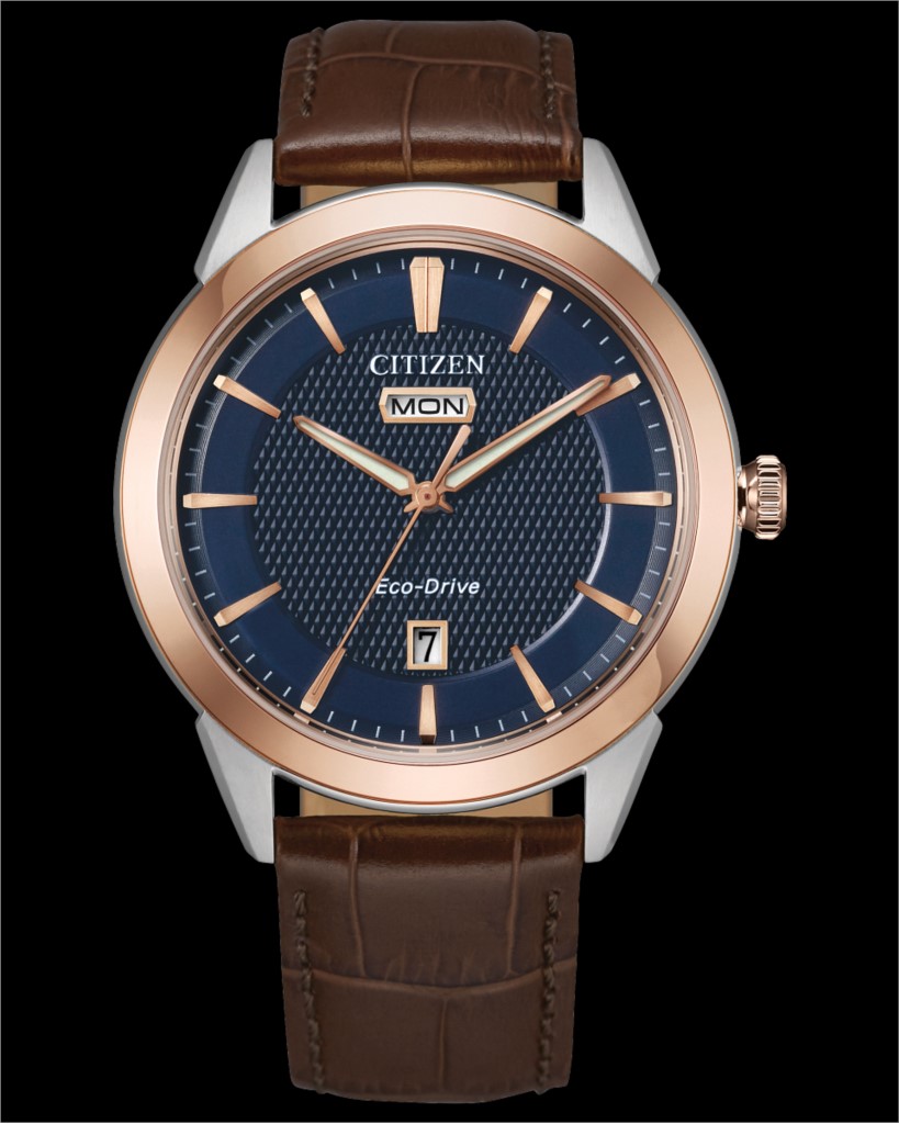 Citizen Watch 001-525-00132 - Dolabany Jewelers Westwood MA