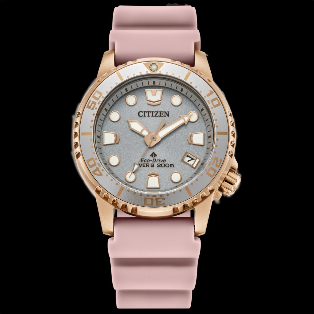 strap citizen ladies dive watch