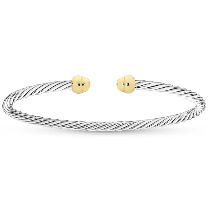 MINI TWST POLIS/2.5 100413 SS - Silver Bracelets | Jeff Dennis