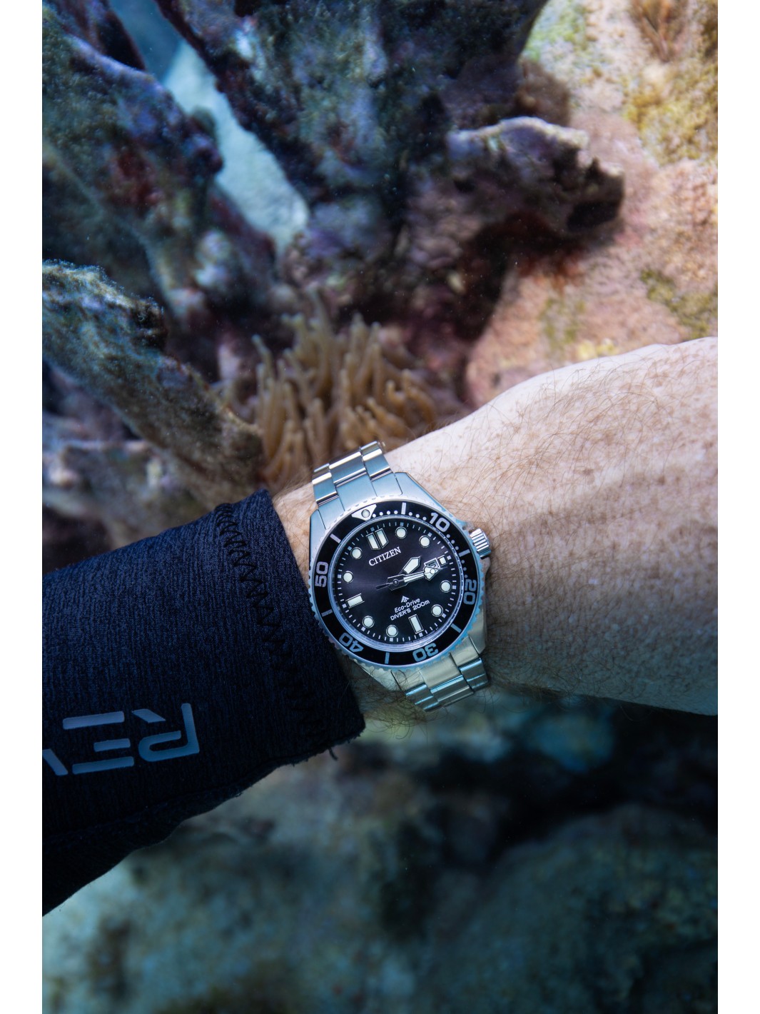 NWT Citizen Promaster Dive Black Dial Men\'s Watch Citizen Promaster Dive, 41mm main image 2