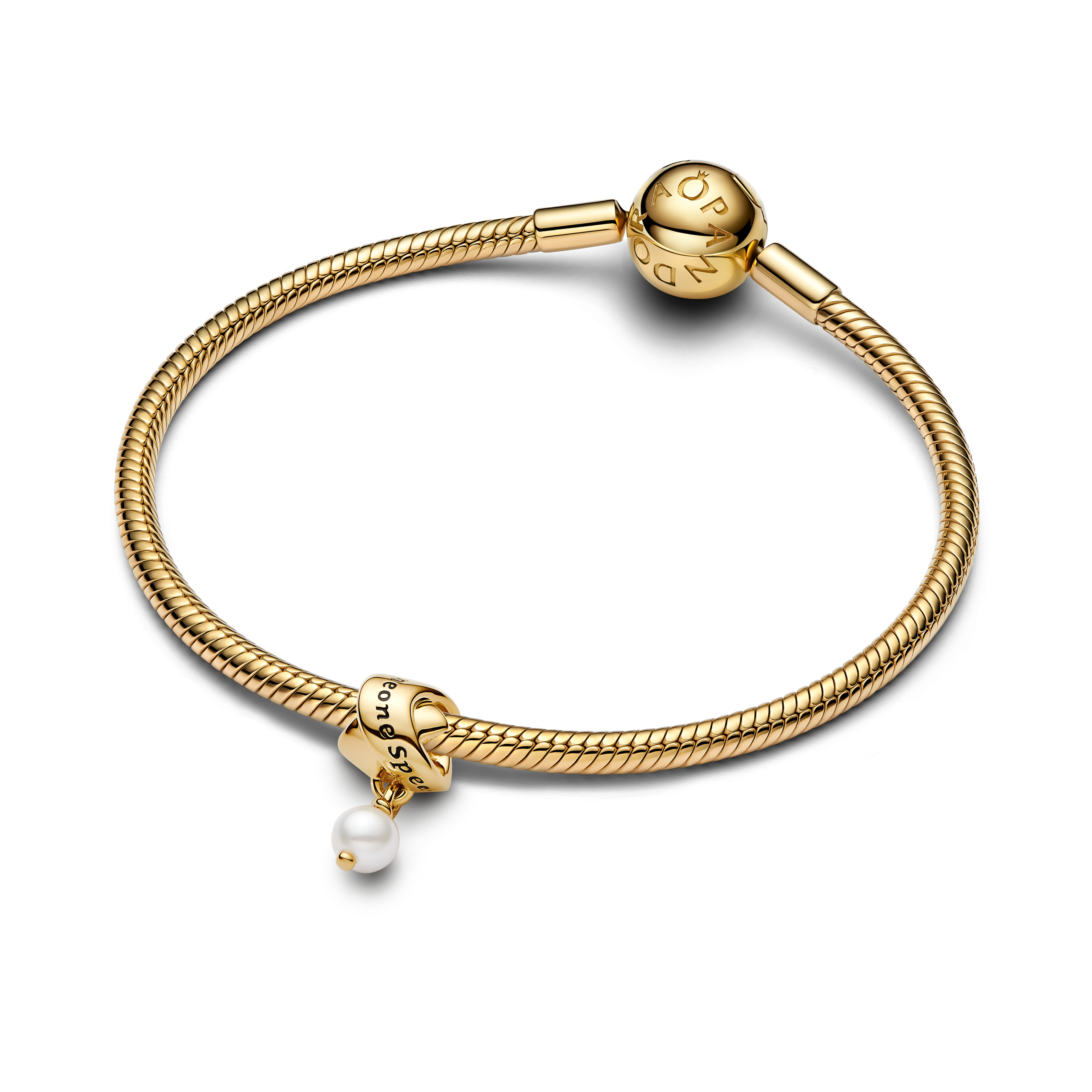 【美品】 PANDORA チャーム 10個 41-Idfc94KL.jpg