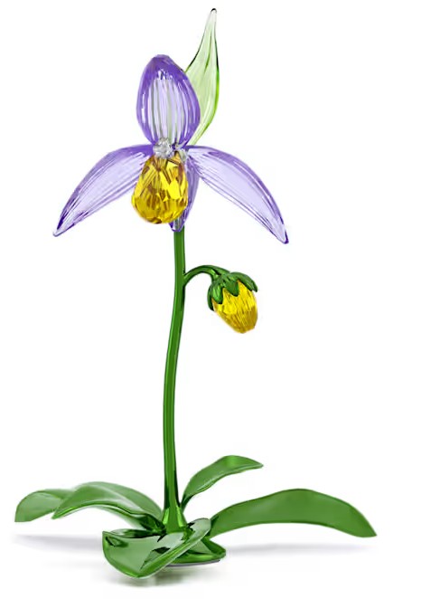 廃盤　美品　SWAROVSKI　オーキッド　ブロッサム　胡蝶蘭　クリスタル Swarovski Lady Slipper Orchid 001-901-01256 - Swarovski | Tom Cook