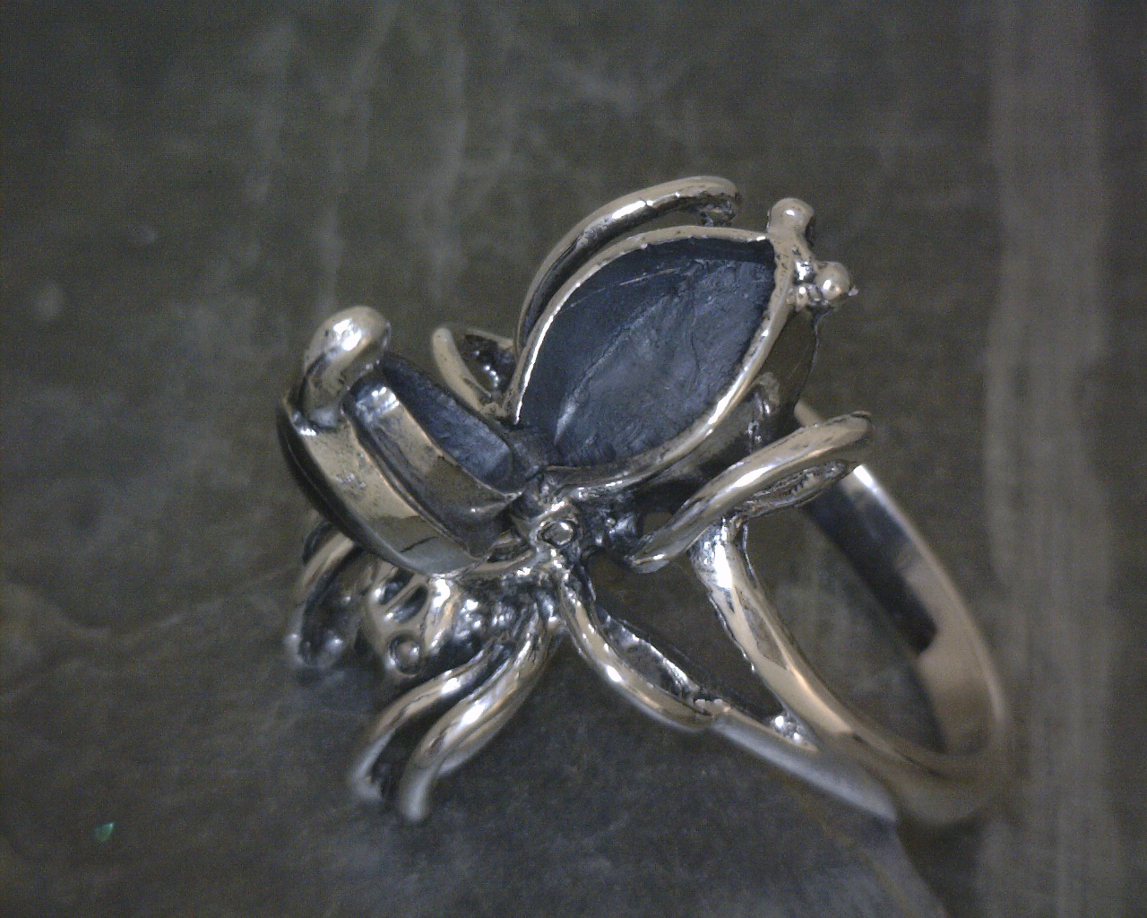 SS Spider Poison Ring Sz 001-626-00307 SS KANSAS CITY | Vulcan's